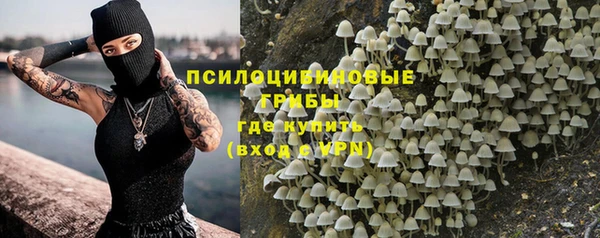 молекула духа Баксан