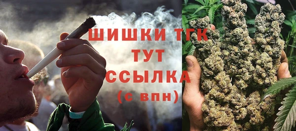 ПСИЛОЦИБИНОВЫЕ ГРИБЫ Балабаново