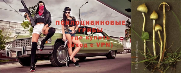 ПСИЛОЦИБИНОВЫЕ ГРИБЫ Балабаново